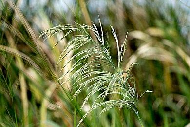 混淆现实与虚拟的世界！《龙魂：魔都异闻录》免费序章现已正式上线